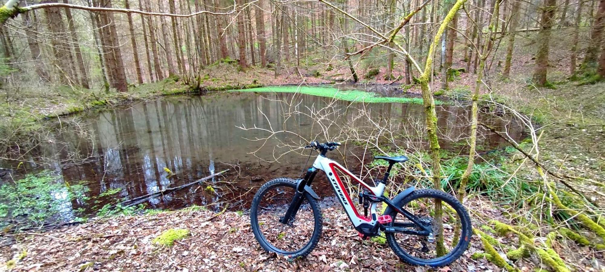 Ferienwohnung Hecht - Biketrail Fun & Relaxing Wolfegg Extérieur photo