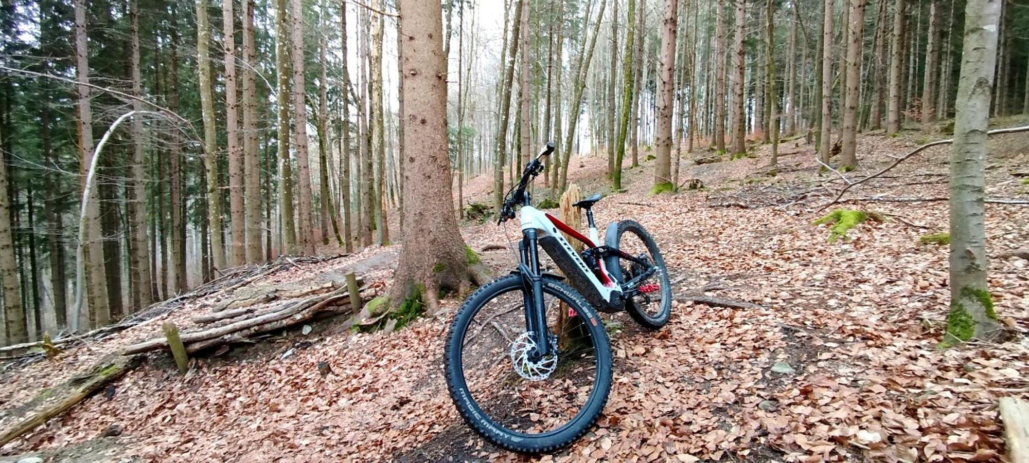Ferienwohnung Hecht - Biketrail Fun & Relaxing Wolfegg Extérieur photo